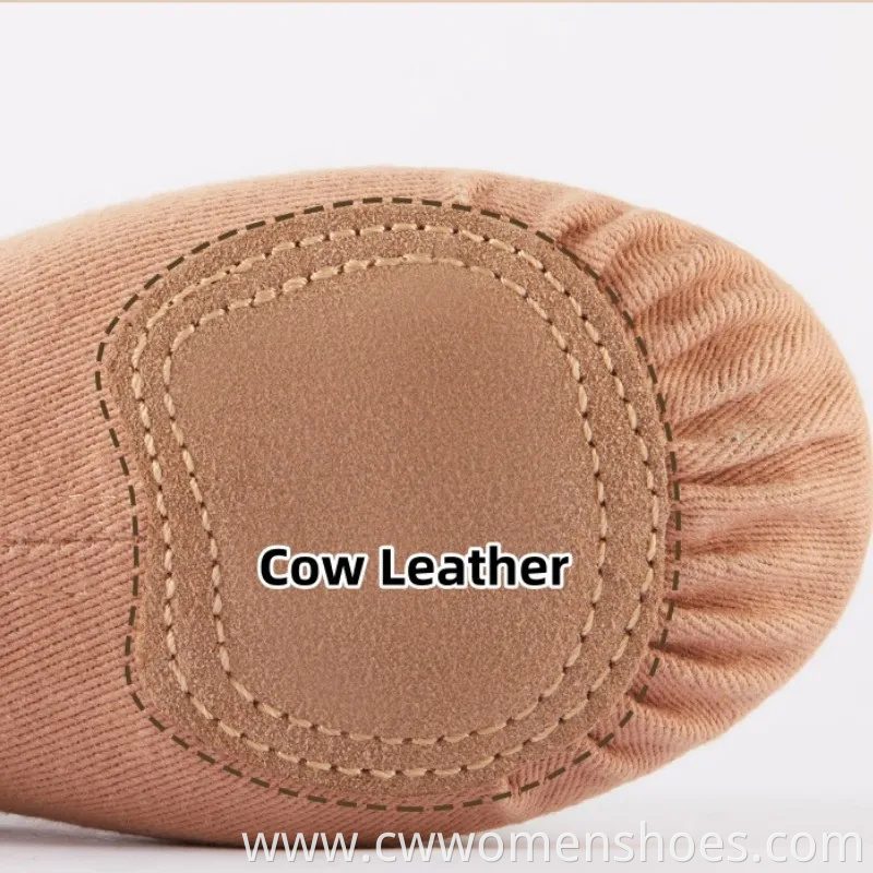 Brown Sheep Tips Ballet Shoes Soft Split Sole Dancing Canvas Ballerina Slippers